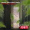 Emotions Vs. Reality - Woody van Eyden & FAWZY lyrics