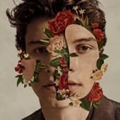 Shawn Mendes feat. Camila Cabello - Señorita