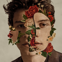Shawn Mendes - Shawn Mendes (Deluxe) artwork