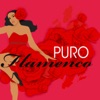 Puro Flamenco