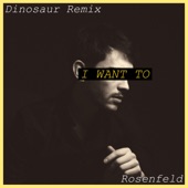 I Want To (Remix) artwork