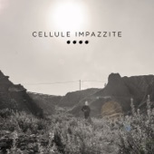 Cellule impazzite artwork