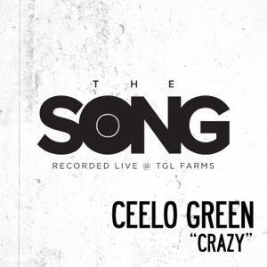 CeeLo Green - Crazy - Line Dance Music