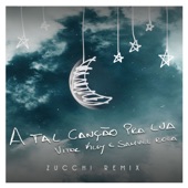 A Tal Canção Pra Lua (Zucchi Remix) artwork