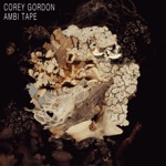 Corey Gordon - Ambi 16