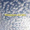 Walking In the Sky - EP