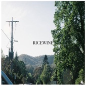 RICEWINE - Maybe