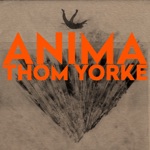 Thom Yorke - Last I Heard (...He Was Circling the Drain)
