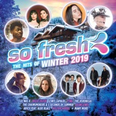 So Fresh: The Hits of Winter 2019 artwork