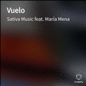 Vuelo (feat. María Mena) artwork