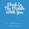 Stuck in the Middle with You (Acoustic) - Single, 2020