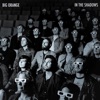 In the Shadows - Single