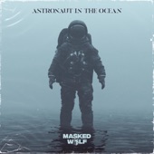 Astronaut In the Ocean artwork