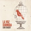 La Voz Dormida - Single