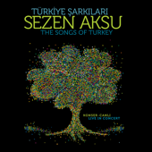 Türkiye Şarkıları (Canlı) - Sezen Aksu