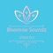 Search Ship - Bloomsie Soundz lyrics