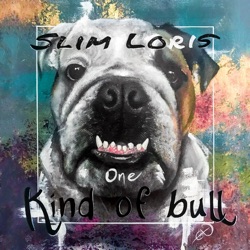 Slim Loris - Space in Your Heart