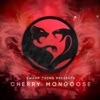 Cherry Mongoose, 2019