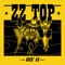 ZZ Top - Legs