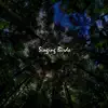 Singing Birds - Single album lyrics, reviews, download