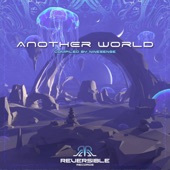 Another World artwork