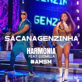 Sacanagenzinha (feat. Ludmilla) artwork