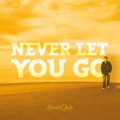 Never Let You Go artwork