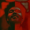Final Lullaby - Bonus Track by The Weeknd iTunes Track 2