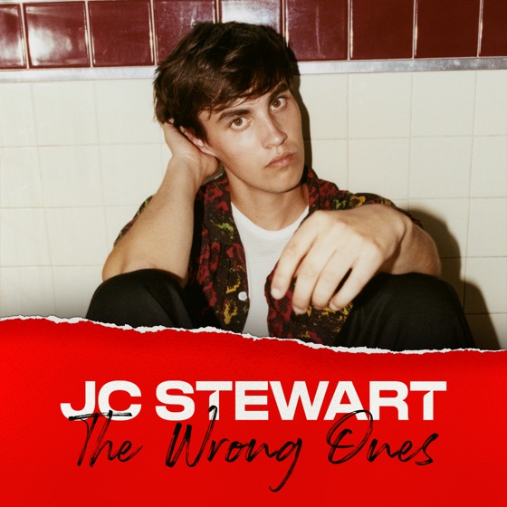 Cover artwork for The Wrong Ones