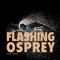 Flashing Osprey artwork
