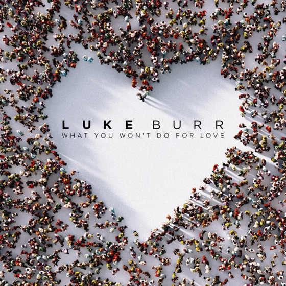 Cover artwork for What You Won't Do For Love