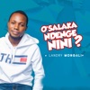 O'salaka Ndenge Nini - Single