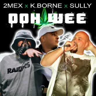 Oohwee (feat. 2mex & K. Borne) by Sully song reviws