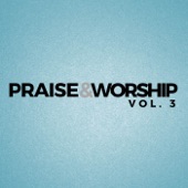 Praise & Worship, Vol. 3 artwork