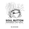 Awaken the Soul: Ethereal Techno (DJ Mix) album lyrics, reviews, download