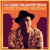 No Debí Dejarte Sola artwork