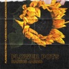 Flower Pots - Single