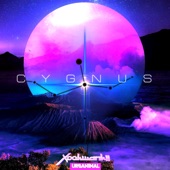 Cygnus artwork