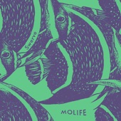 Molife - Swerve