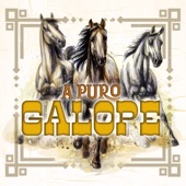 A Puro Galope (feat. La Furia del Bravo, La Reunión Norteña, La Alianza Norteña, Conjunto Peña Blanca, Sexto Grado & Estilo Chihuahua) artwork