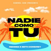 Nadie Como Tu artwork