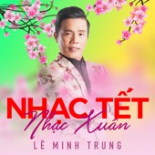 Nhạc Tết - Nhạc Xuân artwork