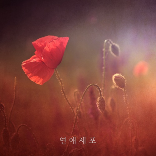 Love Affair – Sick – Single