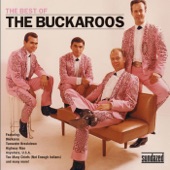 The Buckaroos - Pedal Patter