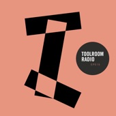 Toolroom Radio Ep515 - Siege Interview (Mixed) [Tr515] artwork