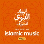 The Best of Islamic Music, Vol. 5 artwork