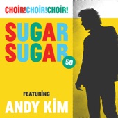Sugar Sugar 50 (feat. Andy Kim) artwork