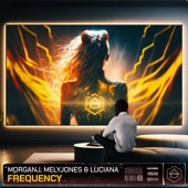 Frequency (Extended Mix) artwork