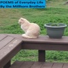 Poems of Everyday Life