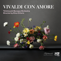 Tafelmusik Baroque Orchestra - Vivaldi con amore artwork